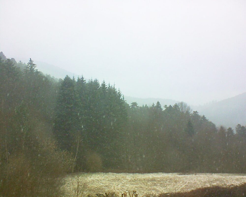 Le petit ballon vu depuis le Domaine Langmatt à Murbach le 16.03.2025 à 10:15 Le petit ballon (Alsace, Vosges) le 16.03.2025 à 10:15