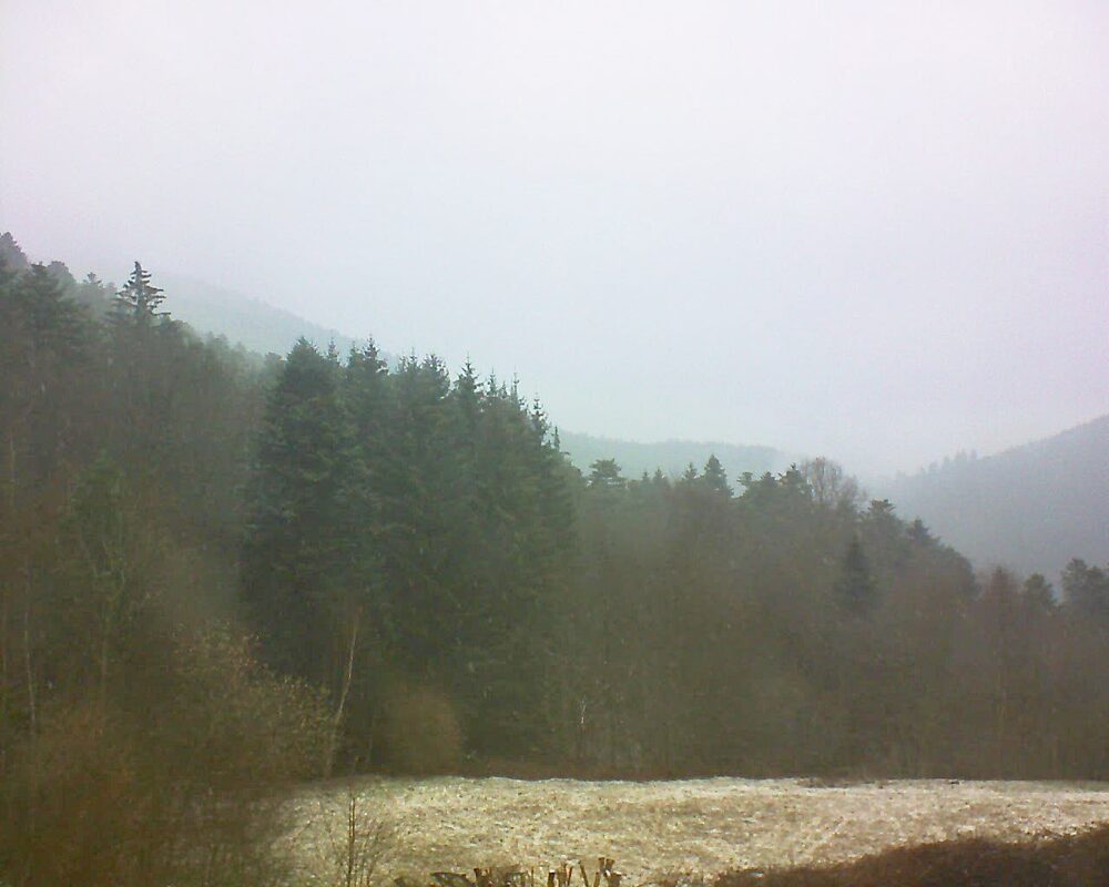 Le petit ballon vu depuis le Domaine Langmatt à Murbach le 16.03.2025 à 10:30 Le petit ballon (Alsace, Vosges) le 16.03.2025 à 10:30