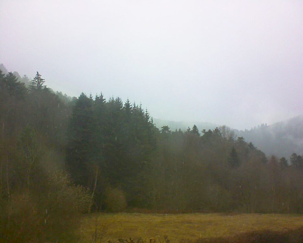 Le petit ballon vu depuis le Domaine Langmatt à Murbach le 16.03.2025 à 13:15 Le petit ballon (Alsace, Vosges) le 16.03.2025 à 13:15