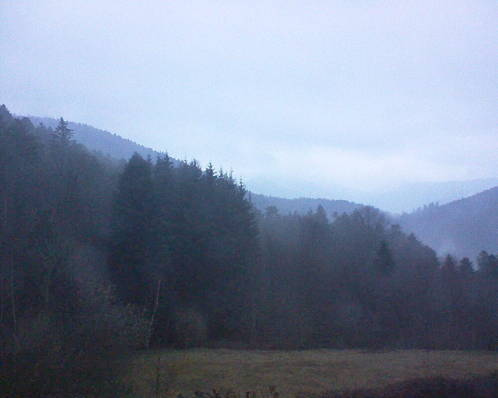 Le petit ballon (Alsace, Vosges) le 16.03.2025 à 18:30