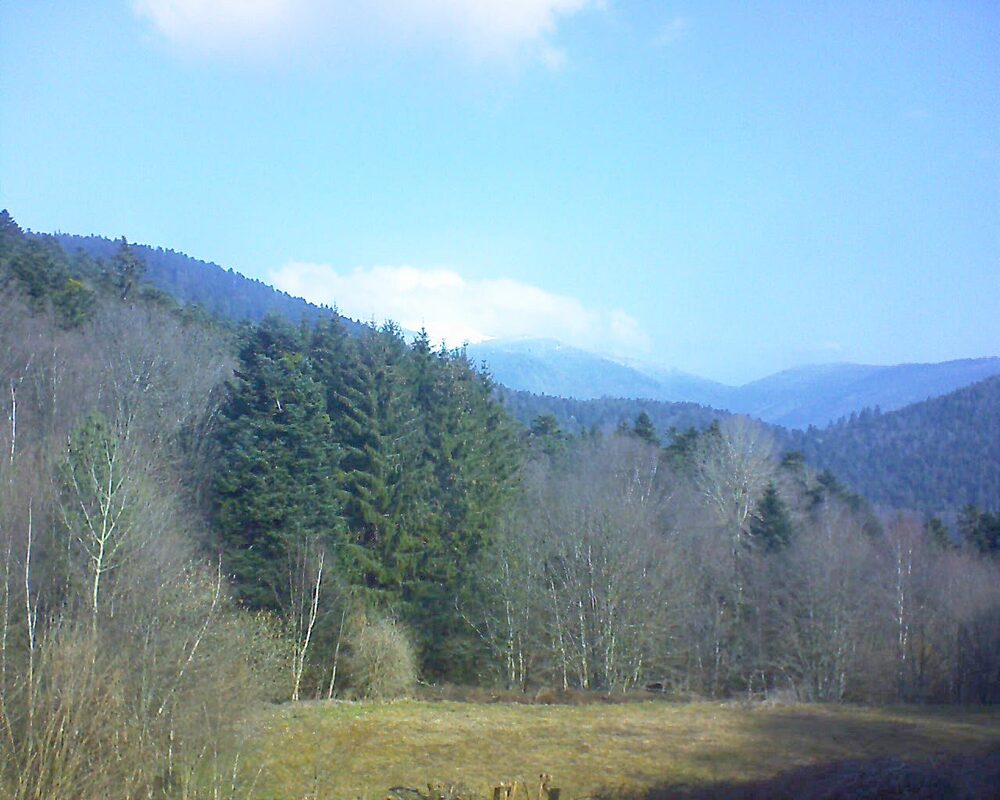Le petit ballon vu depuis le Domaine Langmatt à Murbach le 17.03.2025 à 10:15 Le petit ballon (Alsace, Vosges) le 17.03.2025 à 10:15