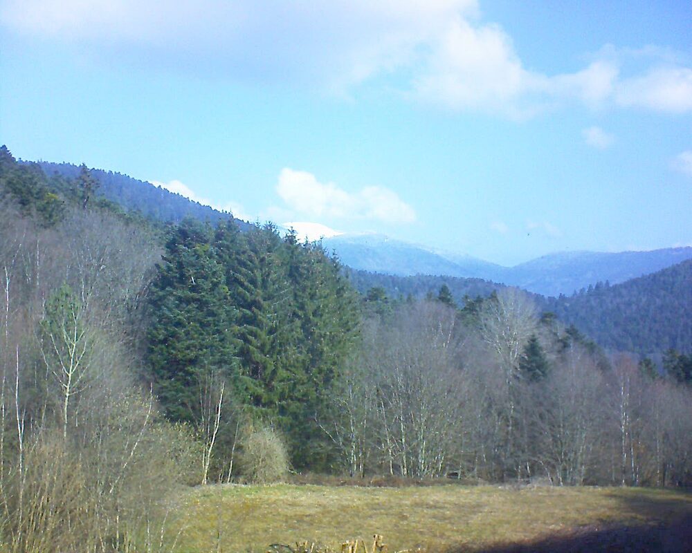 Le petit ballon (Alsace, Vosges) le 17.03.2025 à 10:30