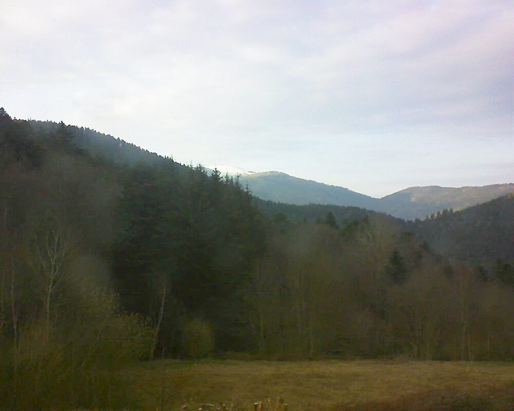 Le petit ballon (Alsace, Vosges) le 17.03.2025 à 17:45