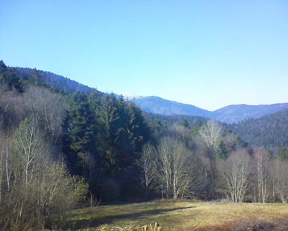 Le petit ballon (Alsace, Vosges) le 18.03.2025 à 15:45