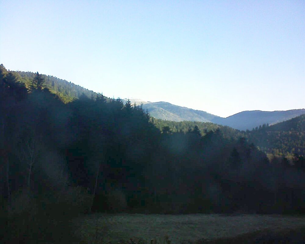 Le petit ballon (Alsace, Vosges) le 19.03.2025 à 07:45