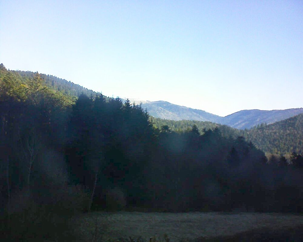 Le petit ballon vu depuis le Domaine Langmatt à Murbach le 19.03.2025 à 08:45 Le petit ballon (Alsace, Vosges) le 19.03.2025 à 08:45