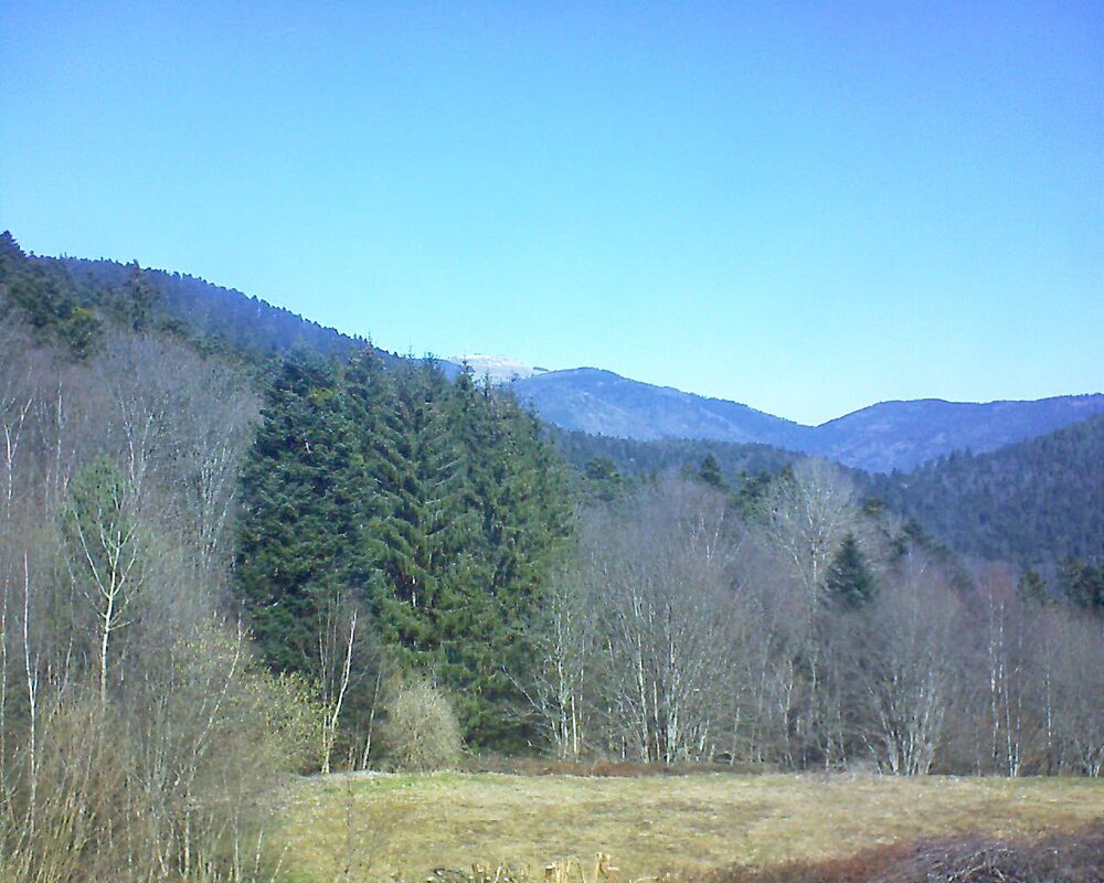 Le petit ballon (Alsace, Vosges) le 19.03.2025 à 11:30
