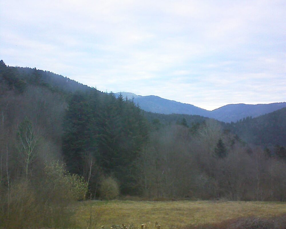 Le petit ballon (Alsace, Vosges) le 20.03.2025 à 07:00