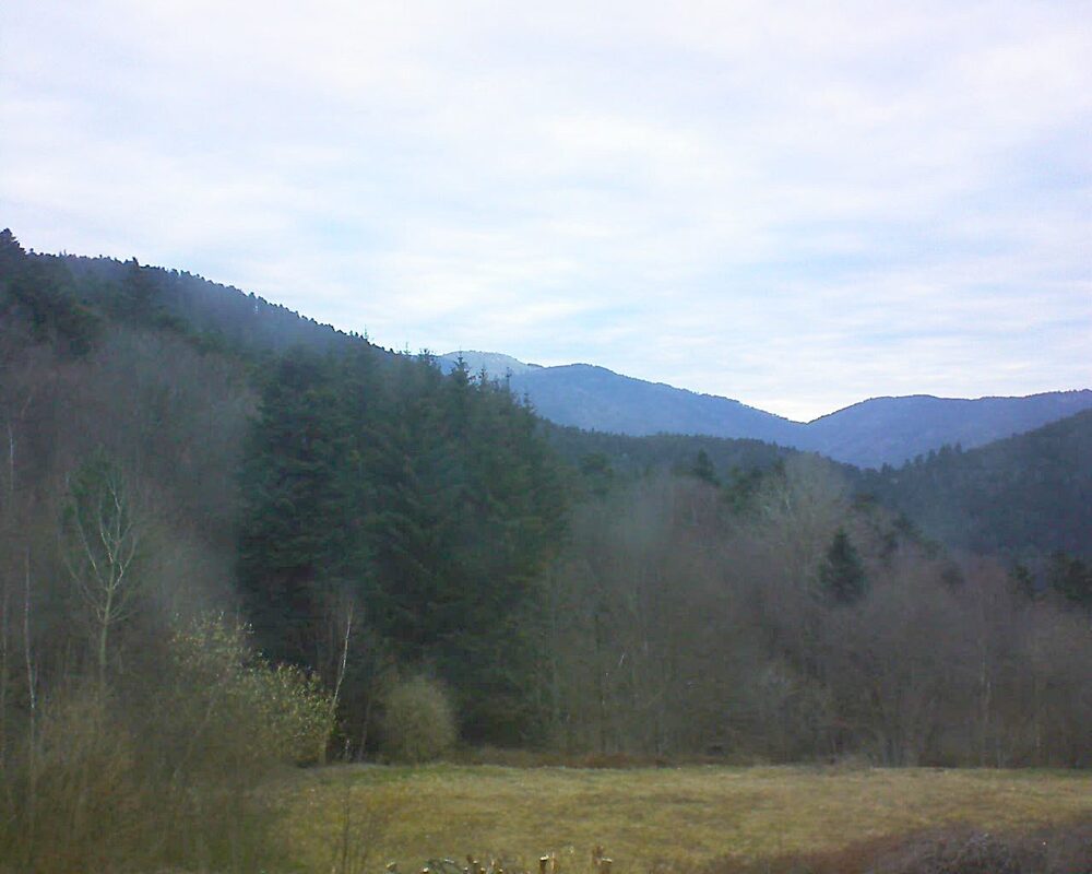 Le petit ballon vu depuis le Domaine Langmatt à Murbach le 20.03.2025 à 07:15 Le petit ballon (Alsace, Vosges) le 20.03.2025 à 07:15