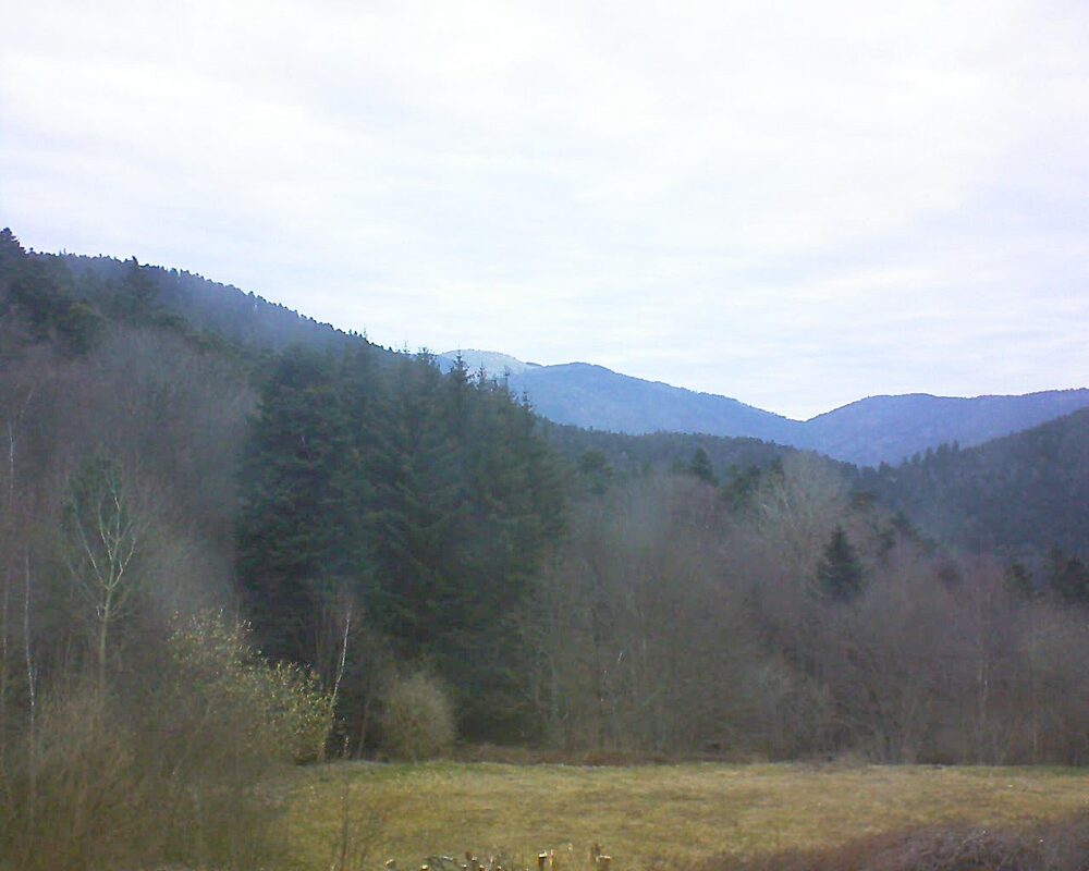 Le petit ballon vu depuis le Domaine Langmatt à Murbach le 20.03.2025 à 07:45 Le petit ballon (Alsace, Vosges) le 20.03.2025 à 07:45