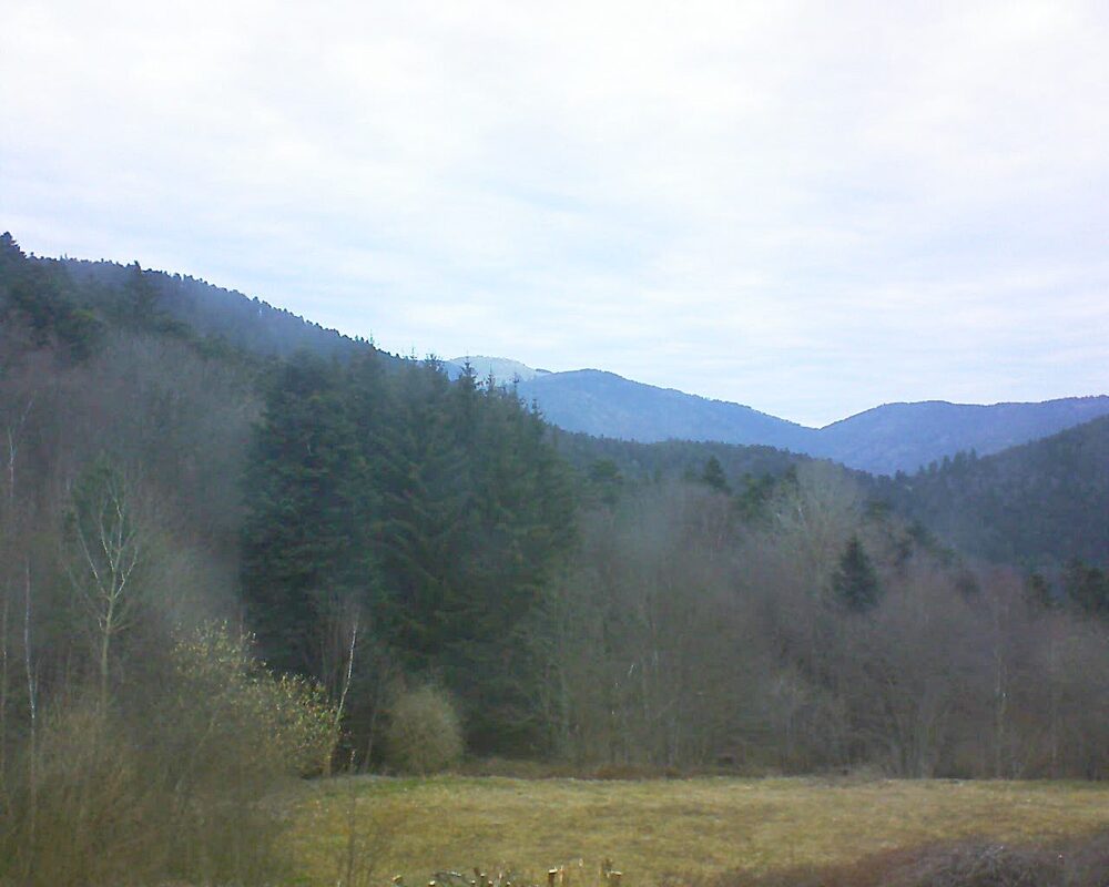 Le petit ballon vu depuis le Domaine Langmatt à Murbach le 20.03.2025 à 08:00 Le petit ballon (Alsace, Vosges) le 20.03.2025 à 08:00
