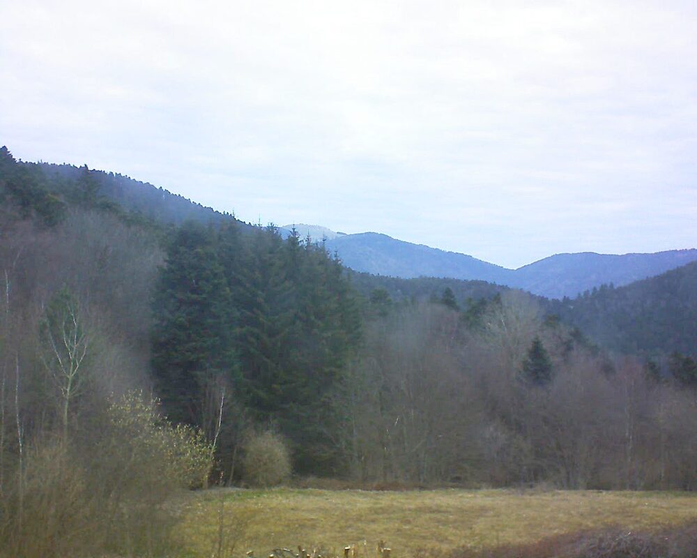 Le petit ballon vu depuis le Domaine Langmatt à Murbach le 20.03.2025 à 08:45 Le petit ballon (Alsace, Vosges) le 20.03.2025 à 08:45