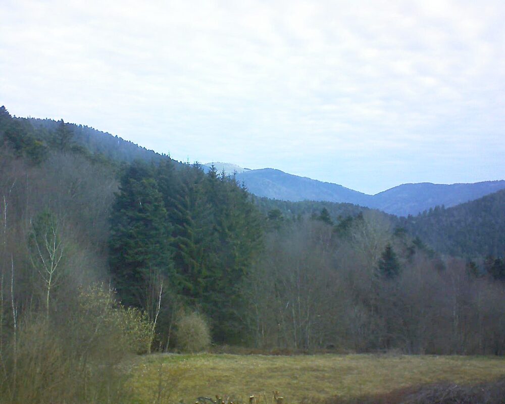Le petit ballon vu depuis le Domaine Langmatt à Murbach le 20.03.2025 à 09:30 Le petit ballon (Alsace, Vosges) le 20.03.2025 à 09:30