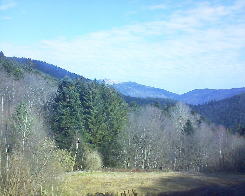 Le petit ballon vu depuis le Domaine Langmatt à Murbach le 20.03.2025 à 10:00 Le petit ballon (Alsace, Vosges) le 20.03.2025 à 10:00