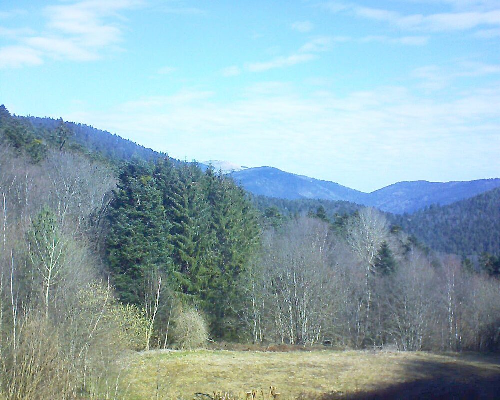 Le petit ballon vu depuis le Domaine Langmatt à Murbach le 20.03.2025 à 10:15 Le petit ballon (Alsace, Vosges) le 20.03.2025 à 10:15