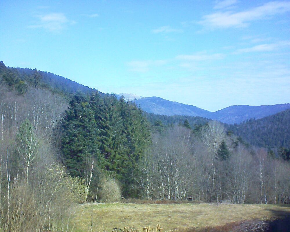 Le petit ballon vu depuis le Domaine Langmatt à Murbach le 20.03.2025 à 10:30 Le petit ballon (Alsace, Vosges) le 20.03.2025 à 10:30