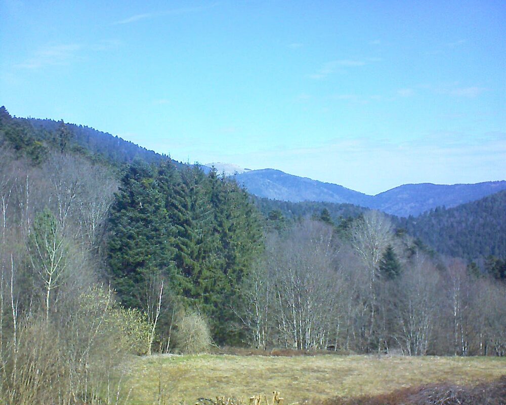 Le petit ballon vu depuis le Domaine Langmatt à Murbach le 20.03.2025 à 10:45 Le petit ballon (Alsace, Vosges) le 20.03.2025 à 10:45