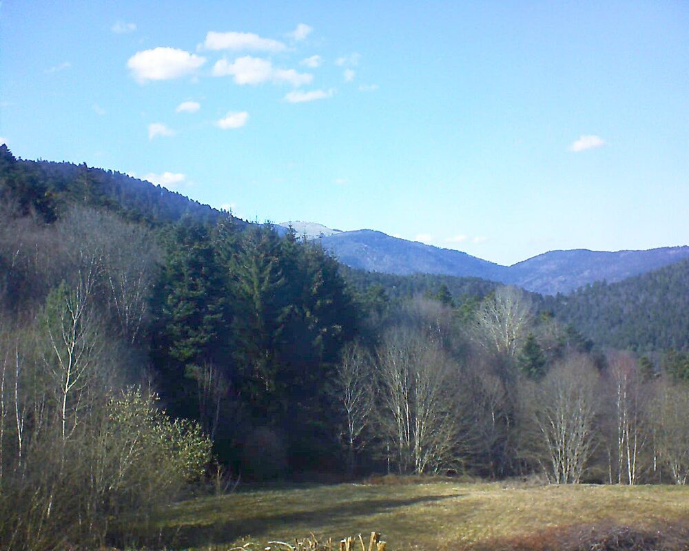 Le petit ballon (Alsace, Vosges) le 20.03.2025 à 15:45
