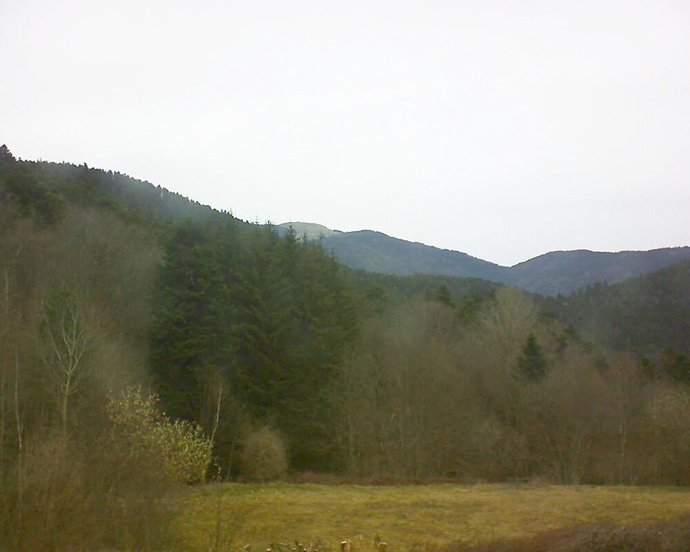Le petit ballon vu depuis le Domaine Langmatt à Murbach le 21.03.2025 à 10:15 Le petit ballon (Alsace, Vosges) le 21.03.2025 à 10:15
