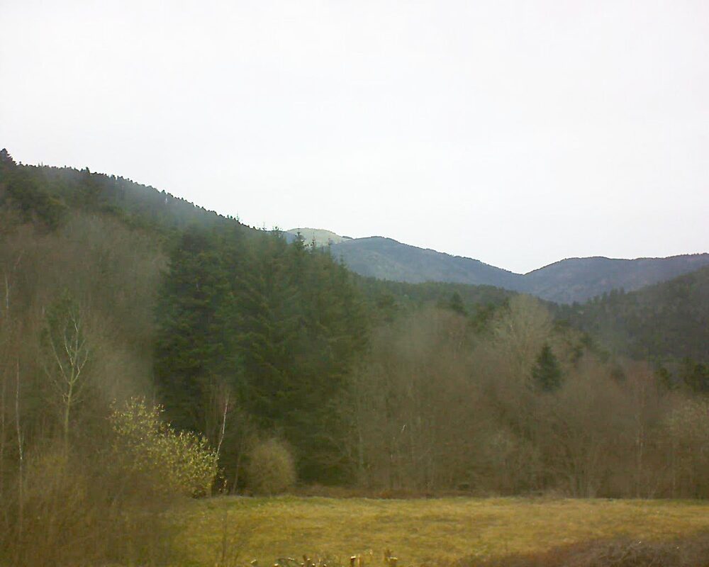 Le petit ballon vu depuis le Domaine Langmatt à Murbach le 21.03.2025 à 10:30 Le petit ballon (Alsace, Vosges) le 21.03.2025 à 10:30