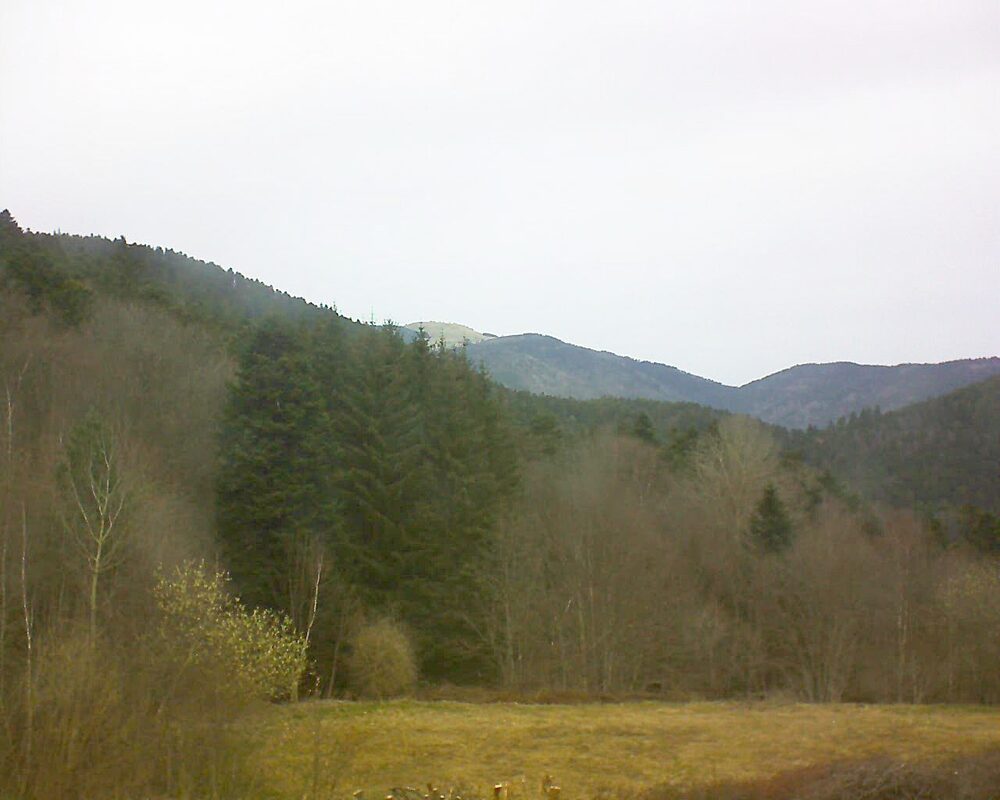 Le petit ballon (Alsace, Vosges) le 21.03.2025 à 11:30