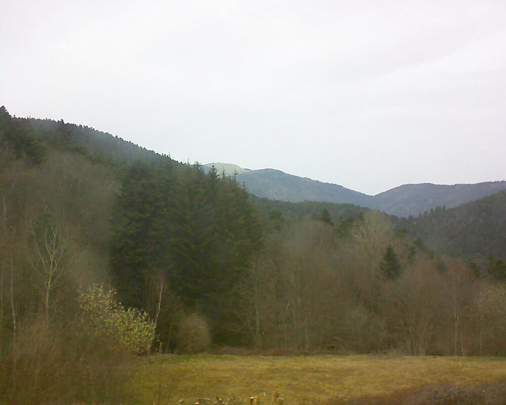 Le petit ballon vu depuis le Domaine Langmatt à Murbach le 21.03.2025 à 15:45 Le petit ballon (Alsace, Vosges) le 21.03.2025 à 15:45