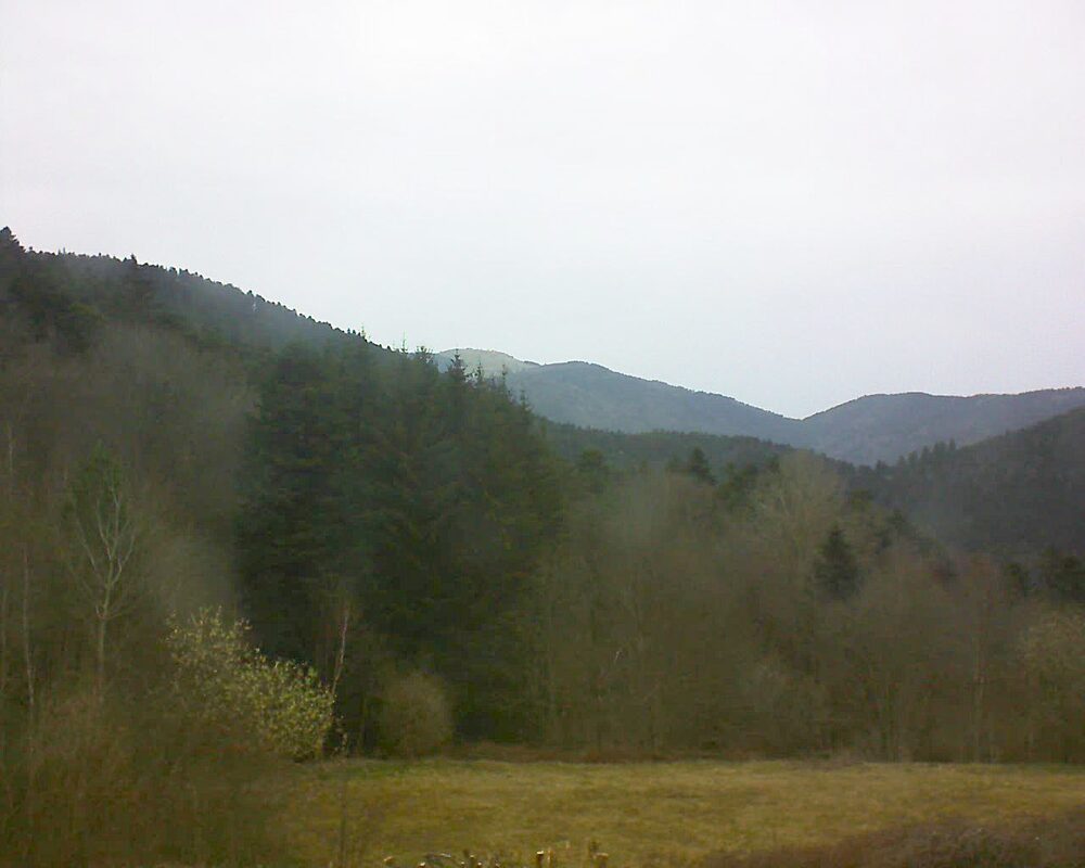 Le petit ballon (Alsace, Vosges) le 21.03.2025 à 16:45