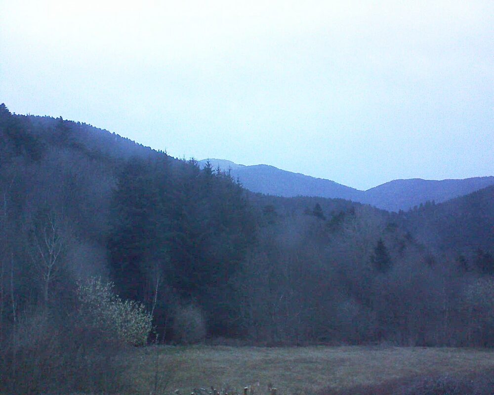 Le petit ballon (Alsace, Vosges) le 21.03.2025 à 18:45
