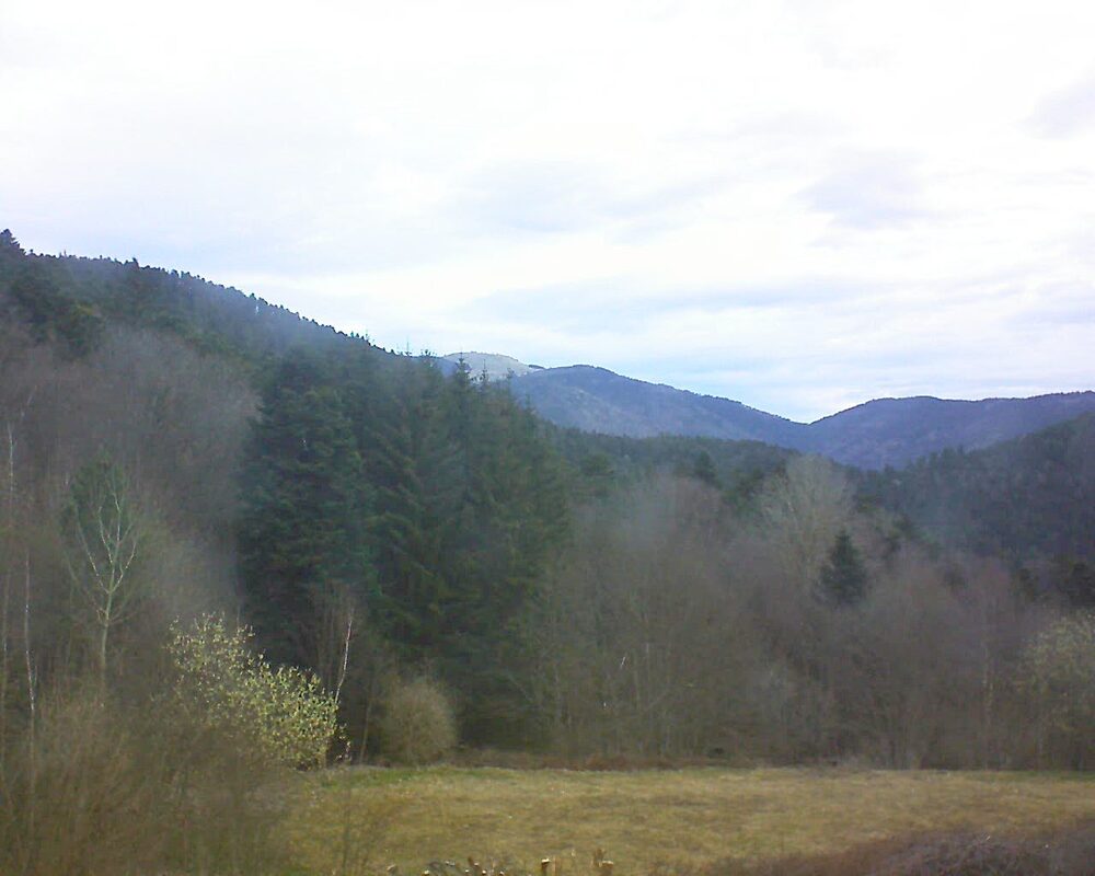 Le petit ballon vu depuis le Domaine Langmatt à Murbach le 22.03.2025 à 07:45 Le petit ballon (Alsace, Vosges) le 22.03.2025 à 07:45