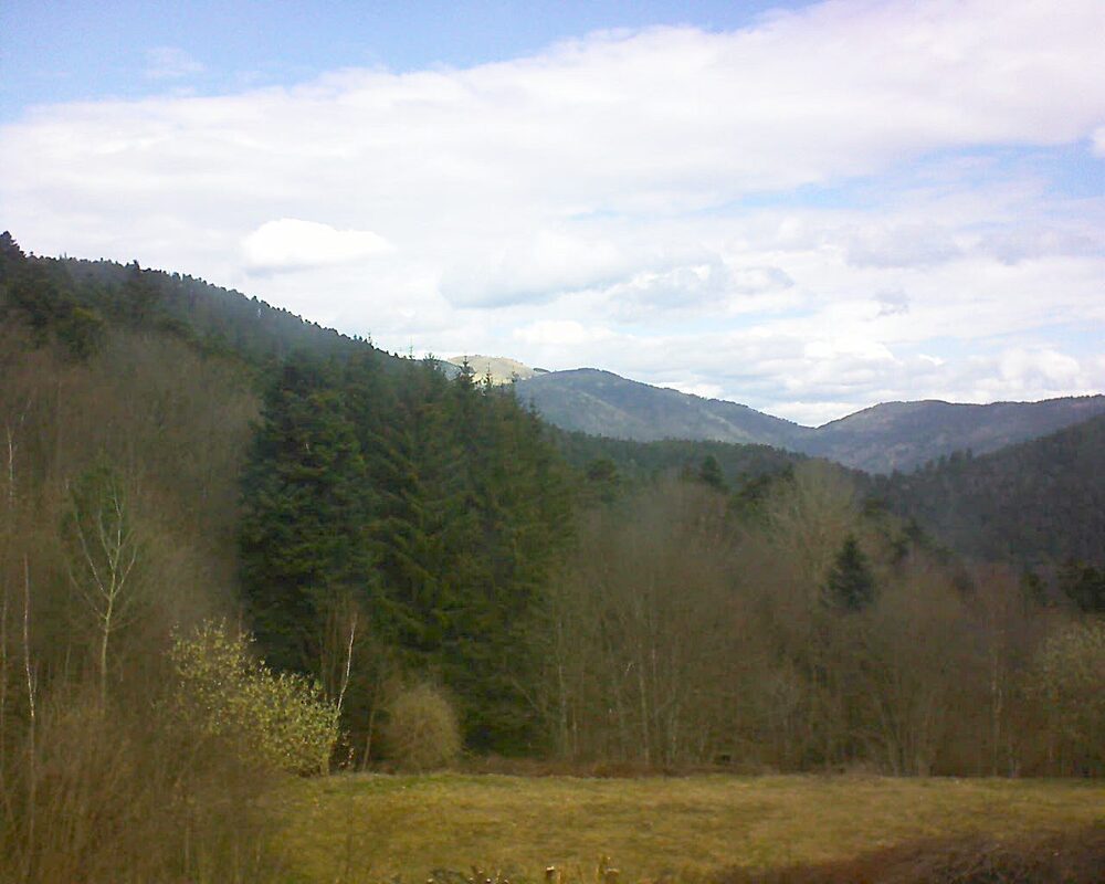 Le petit ballon (Alsace, Vosges) le 22.03.2025 à 10:30