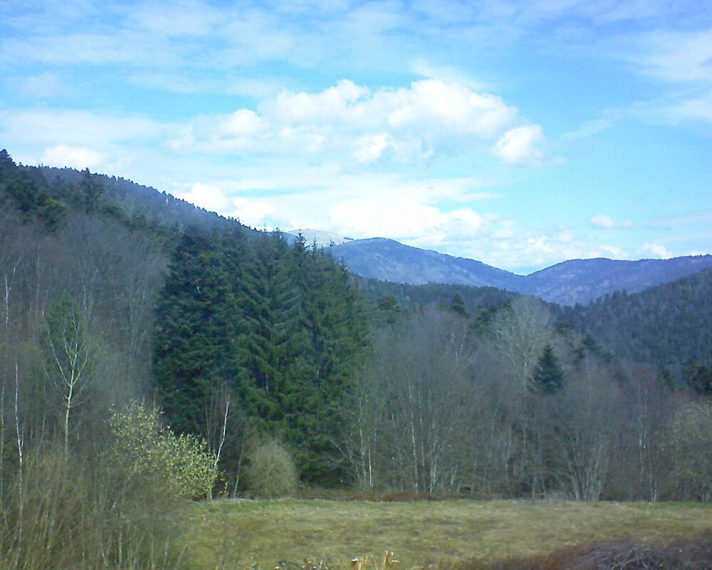 Le petit ballon vu depuis le Domaine Langmatt à Murbach le 22.03.2025 à 11:30 Le petit ballon (Alsace, Vosges) le 22.03.2025 à 11:30