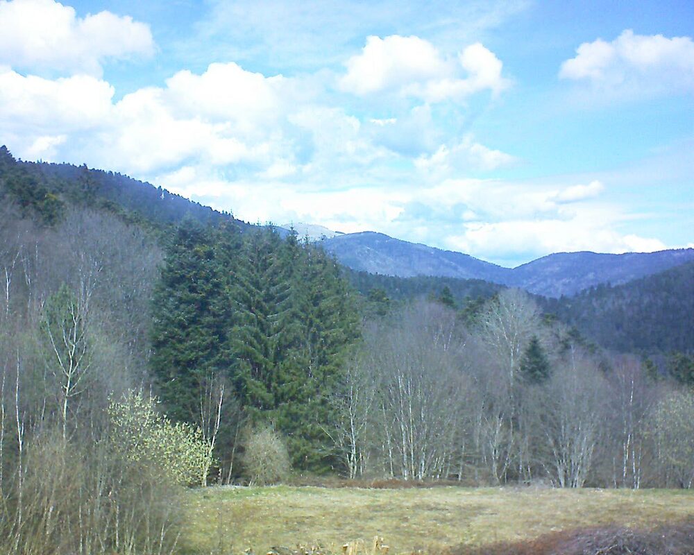 Le petit ballon (Alsace, Vosges) le 22.03.2025 à 12:30