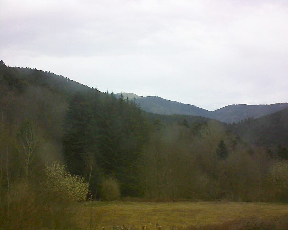 Le petit ballon (Alsace, Vosges) le 22.03.2025 à 14:30