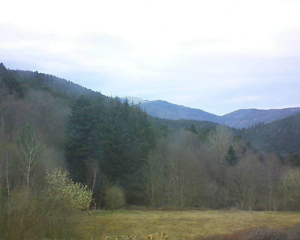 Le petit ballon (Alsace, Vosges) le 22.03.2025 à 15:45