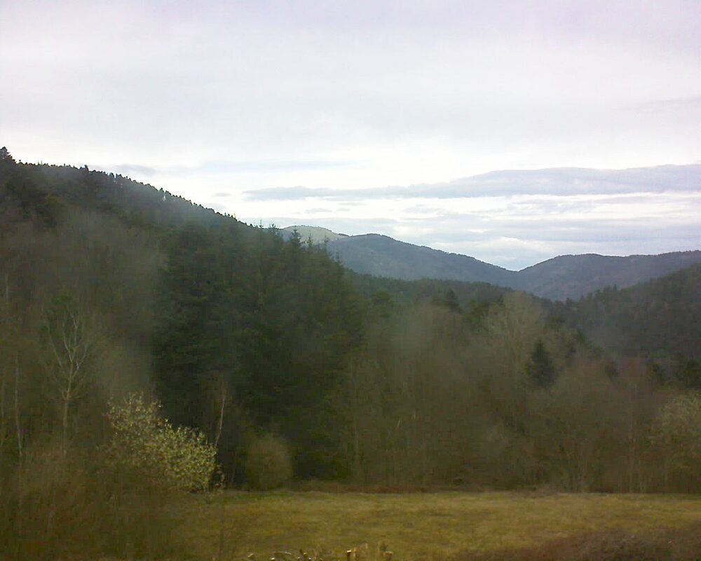 Le petit ballon (Alsace, Vosges) le 22.03.2025 à 16:45