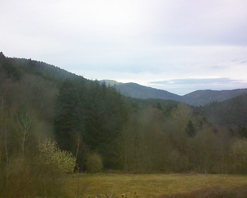 Le petit ballon (Alsace, Vosges) le 22.03.2025 à 17:30