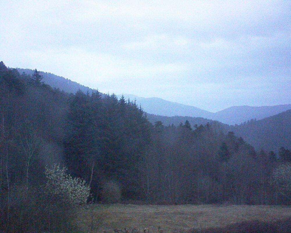 Le petit ballon (Alsace, Vosges) le 23.03.2025 à 06:30