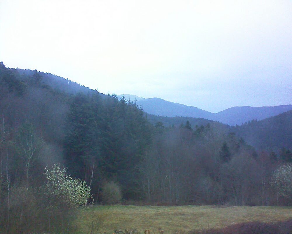 Le petit ballon vu depuis le Domaine Langmatt à Murbach le 23.03.2025 à 06:45 Le petit ballon (Alsace, Vosges) le 23.03.2025 à 06:45
