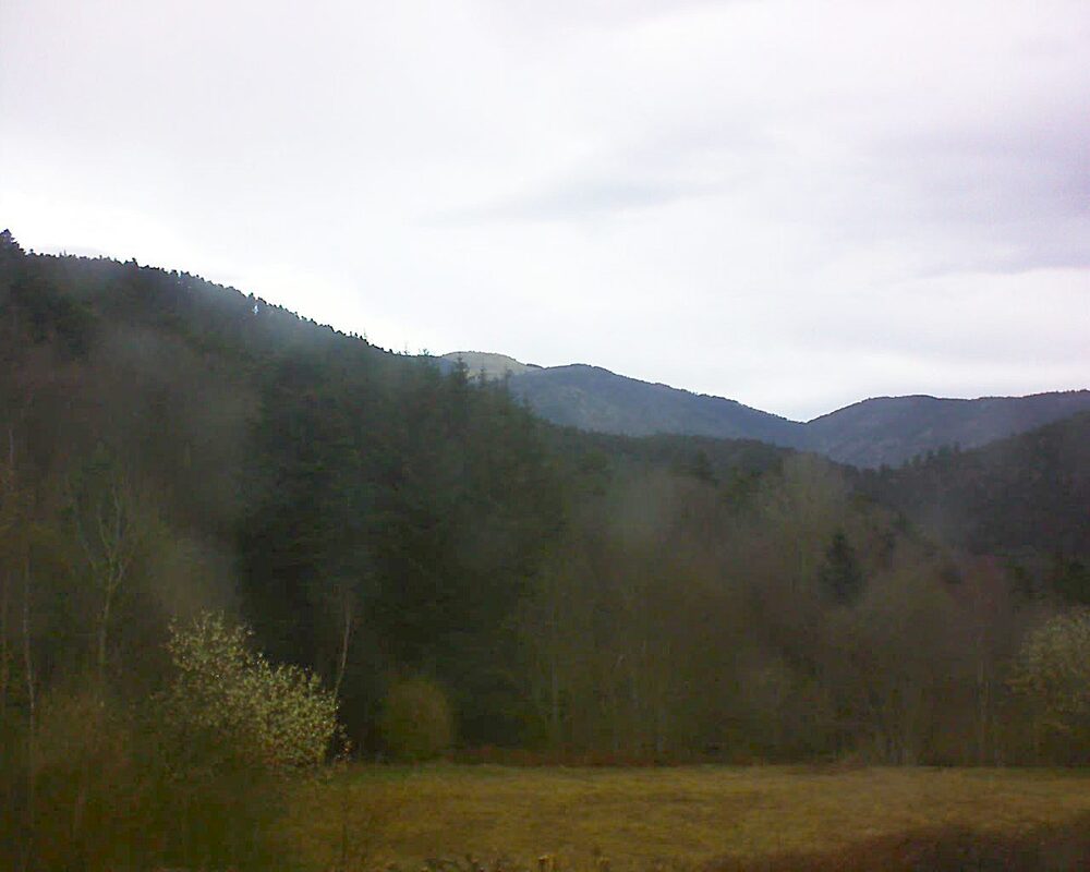 Le petit ballon (Alsace, Vosges) le 23.03.2025 à 08:15