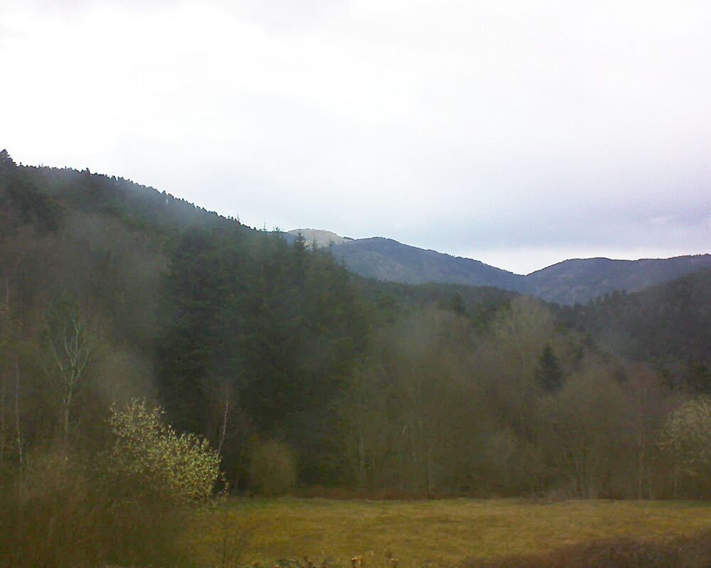 Le petit ballon vu depuis le Domaine Langmatt à Murbach le 23.03.2025 à 08:45 Le petit ballon (Alsace, Vosges) le 23.03.2025 à 08:45