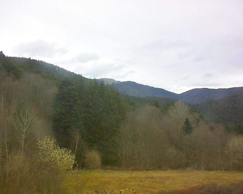 Le petit ballon vu depuis le Domaine Langmatt à Murbach le 23.03.2025 à 09:45 Le petit ballon (Alsace, Vosges) le 23.03.2025 à 09:45