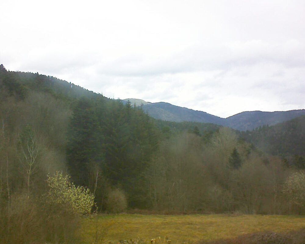 Le petit ballon vu depuis le Domaine Langmatt à Murbach le 23.03.2025 à 10:00 Le petit ballon (Alsace, Vosges) le 23.03.2025 à 10:00