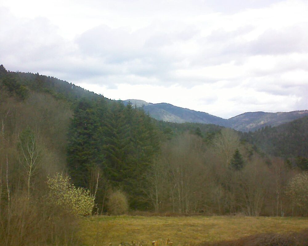 Le petit ballon vu depuis le Domaine Langmatt à Murbach le 23.03.2025 à 11:45 Le petit ballon (Alsace, Vosges) le 23.03.2025 à 11:45