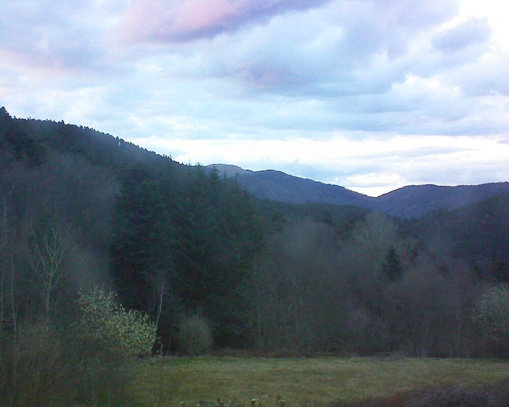 Le petit ballon (Alsace, Vosges) le 23.03.2025 à 18:45