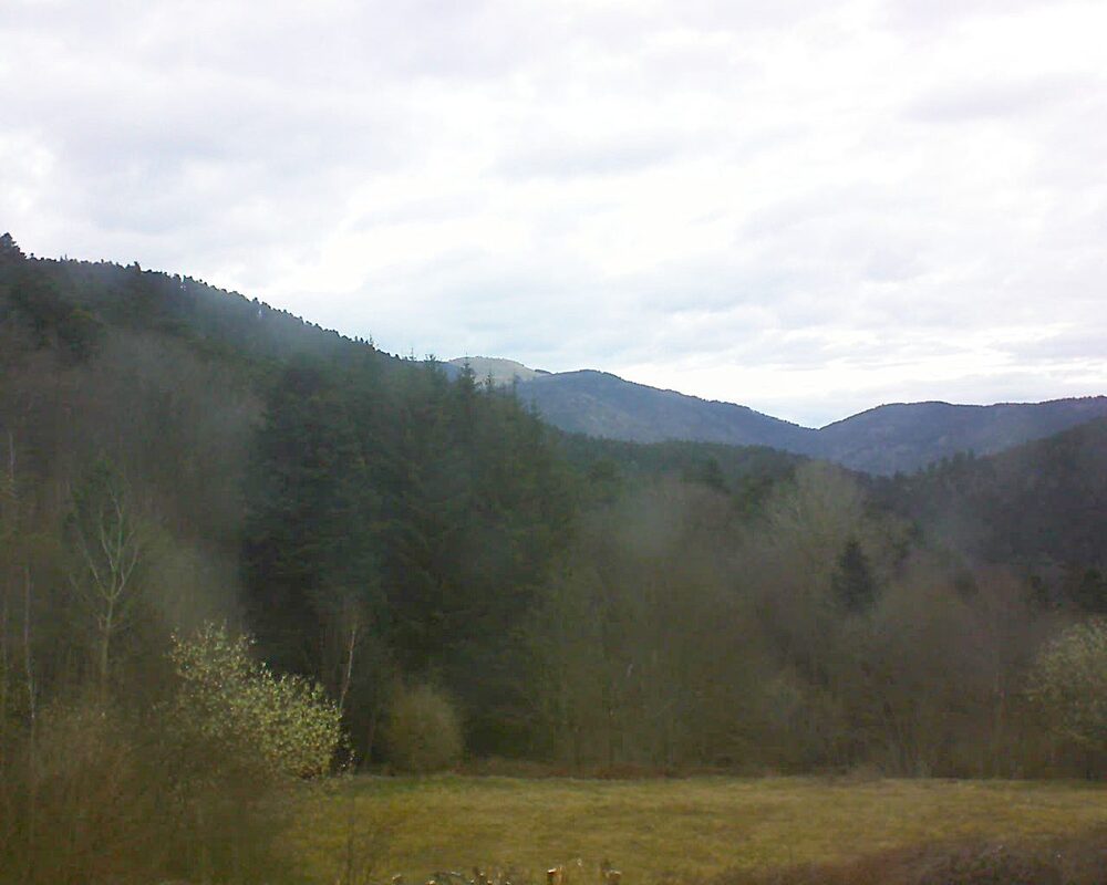 Le petit ballon (Alsace, Vosges) le 24.03.2025 à 07:30