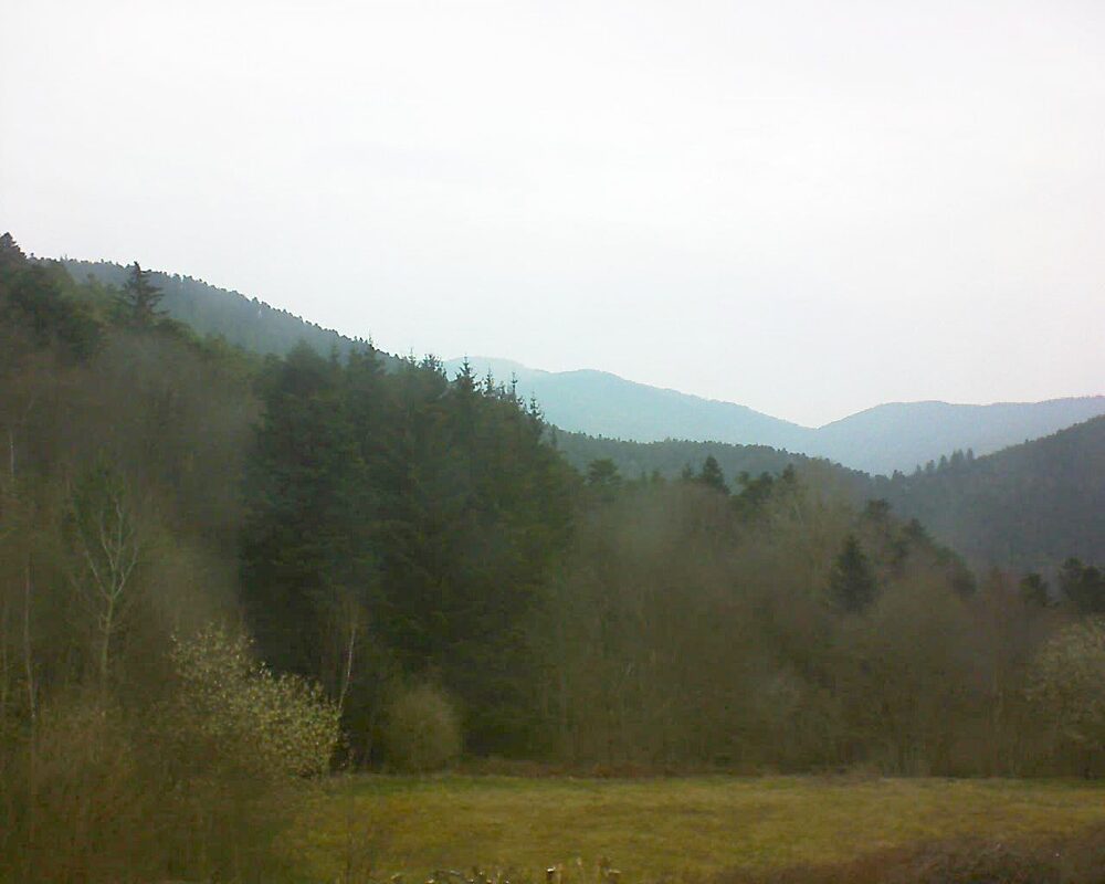 Le petit ballon (Alsace, Vosges) le 26.03.2025 à 07:30