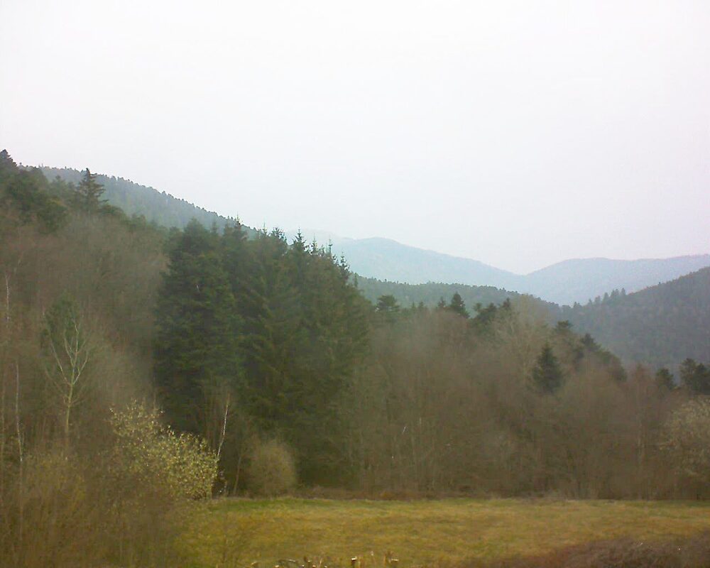 Le petit ballon vu depuis le Domaine Langmatt à Murbach le 26.03.2025 à 08:30 Le petit ballon (Alsace, Vosges) le 26.03.2025 à 08:30