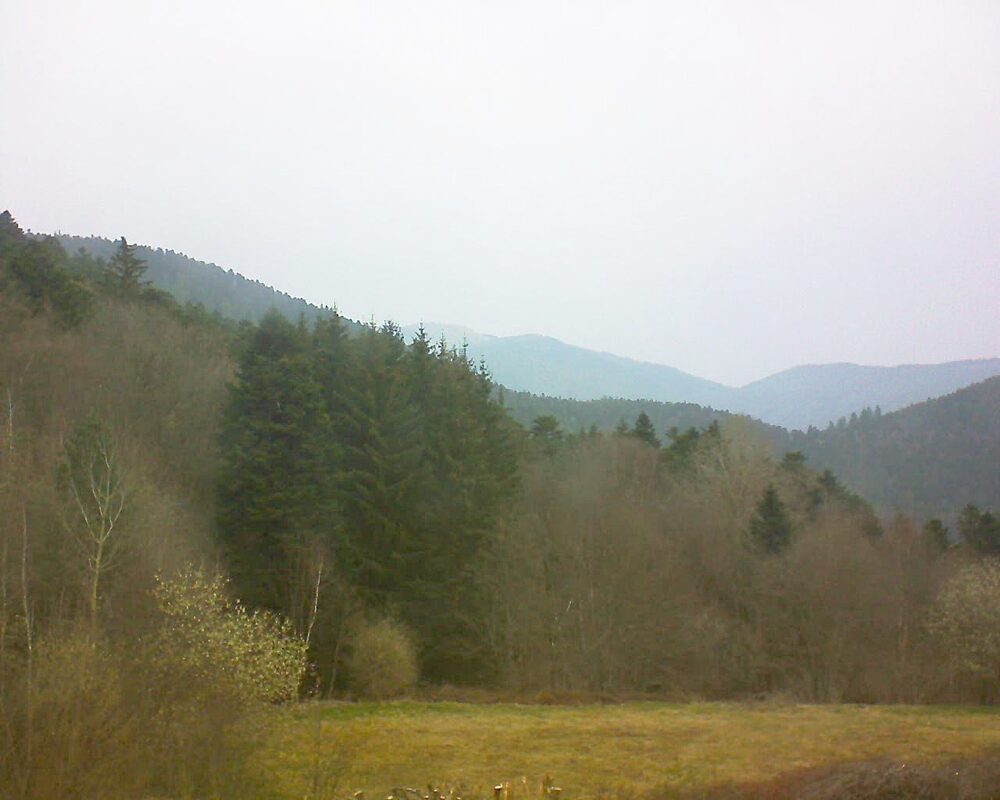 Le petit ballon vu depuis le Domaine Langmatt à Murbach le 26.03.2025 à 08:45 Le petit ballon (Alsace, Vosges) le 26.03.2025 à 08:45