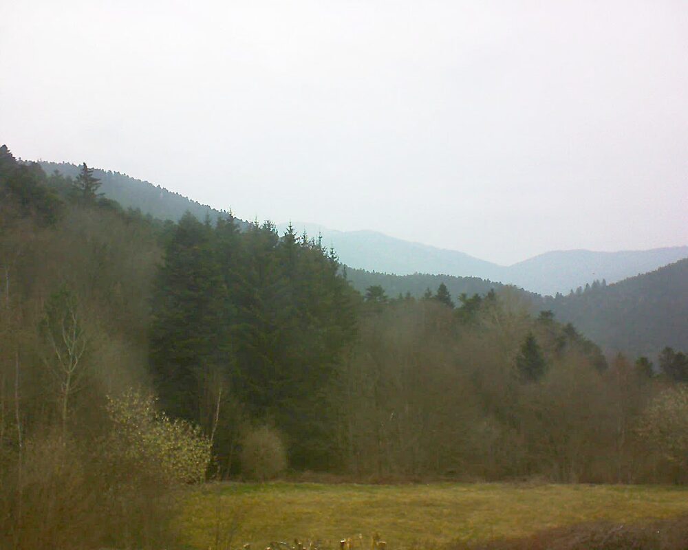 Le petit ballon vu depuis le Domaine Langmatt à Murbach le 26.03.2025 à 09:45 Le petit ballon (Alsace, Vosges) le 26.03.2025 à 09:45