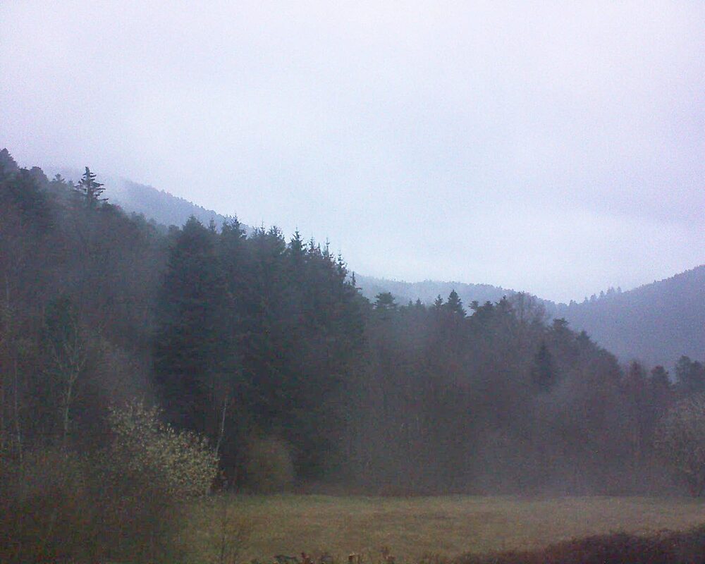 Le petit ballon (Alsace, Vosges) le 26.03.2025 à 18:45